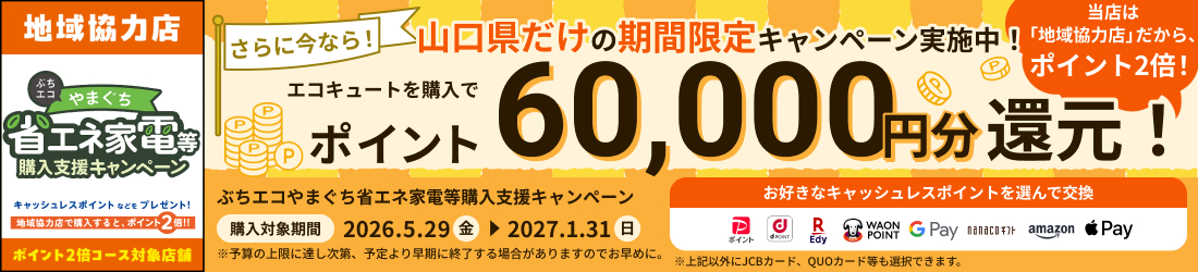 ぶちエコやまぐち省エネ家電購入等支援キャンペーンでポイント60,000円分還元！